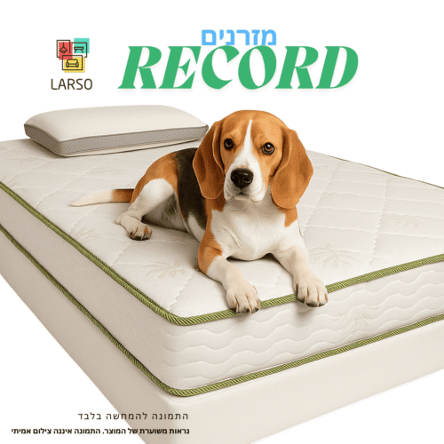 קולר לכלב על מזרן שינה נוחות, מעוצב לחיות מחמד באיכות גבוהה.
