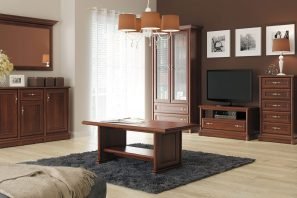 סלון דגם קנט